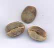 Green Coffee Defects - Click to Enlarge