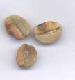 Green Coffee Defects - Click to Enlarge