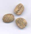 Green Coffee Defects - Click to Enlarge