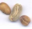 Green Coffee Defects - Click to Enlarge